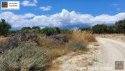 Kamilari Kreta Kamilari, Baugrundstück 2.000m² mit 2 Baugenehmigungen ! zu verkaufen Grundstück kaufen